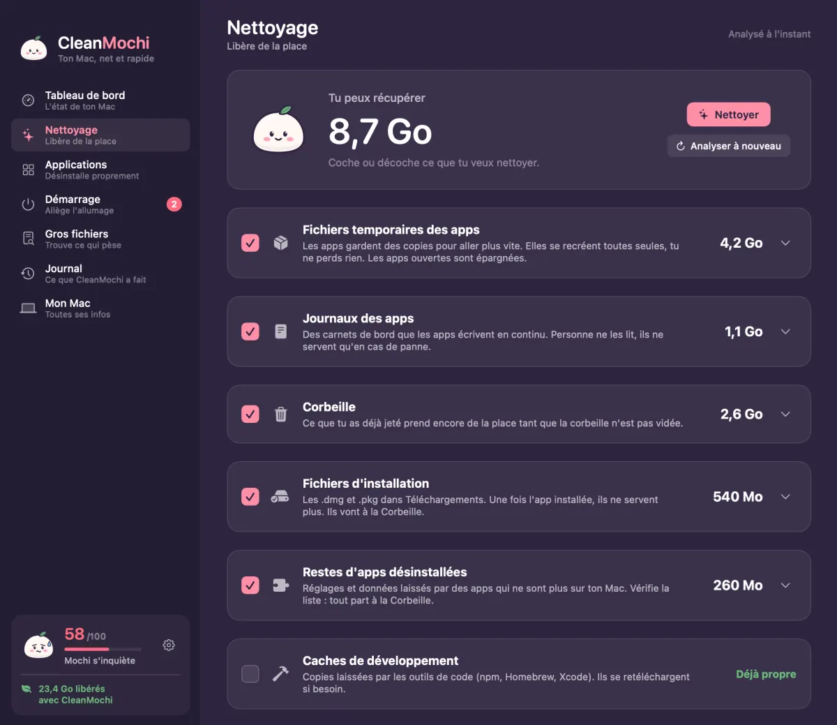 Écran Nettoyage de CleanMochi : chaque catégorie avec son poids et une phrase d'explication.